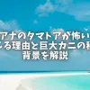 「モアナのタマトアが怖い！と感じる理由と巨大カニの秘密や背景を解説」のアイキャッチ画像